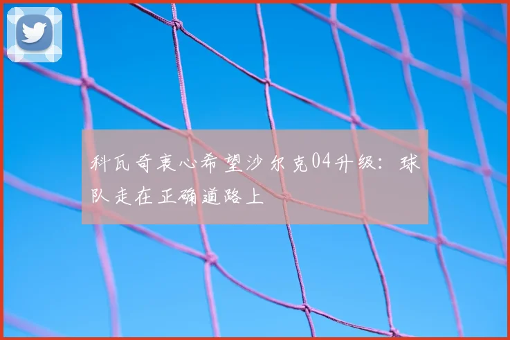 科瓦奇衷心希望沙尔克04升级：球队走在正确道路上