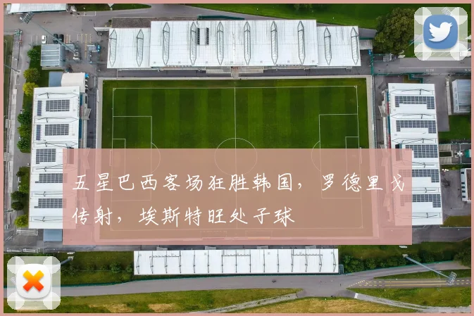 五星巴西客场狂胜韩国，罗德里戈传射，埃斯特旺处子球